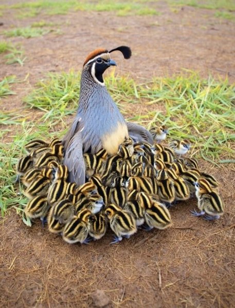 8a2fe91365ed6e6f4a78f5411e2d3112