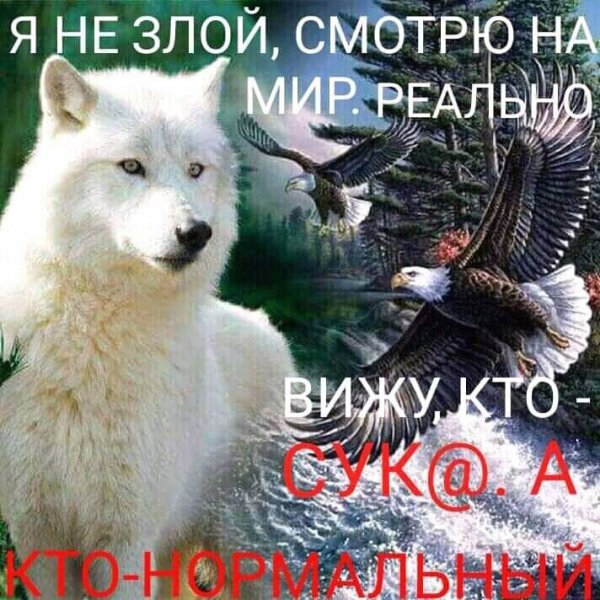 IMG 20210424 010452