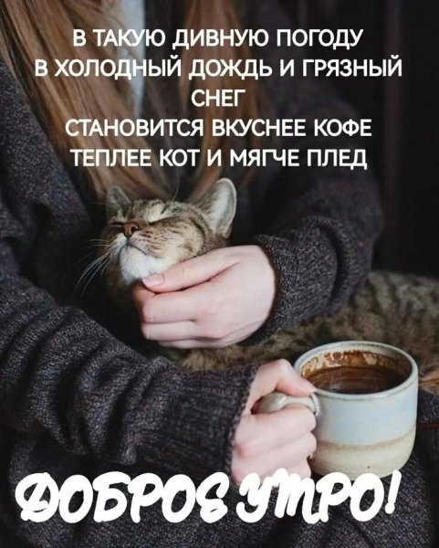 Доброе утро!