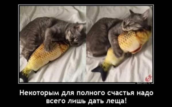 Дать леща!