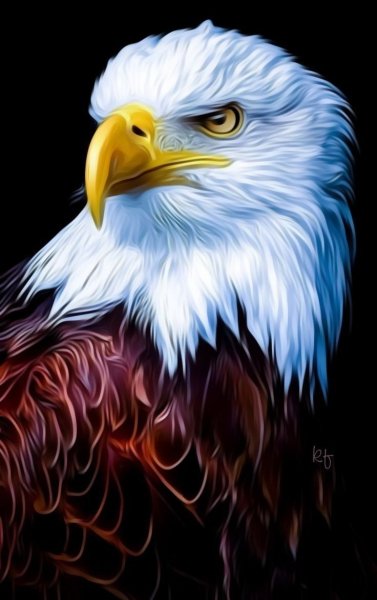 e23efd888b5f29587a20086