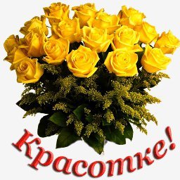 розы