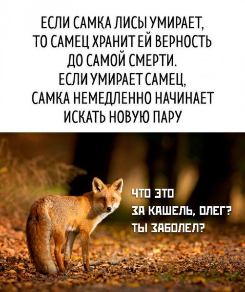 Jumora-v-memah-i-prikolnyh-fotografijah-v-pjatnicu-11