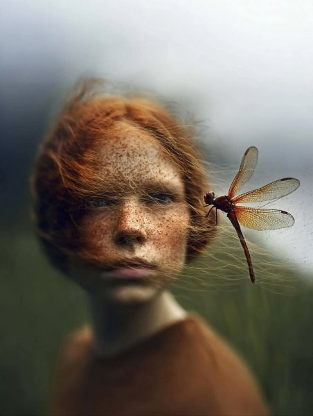 3e9e1a8dd3f7ce472dbb7674f74ab449