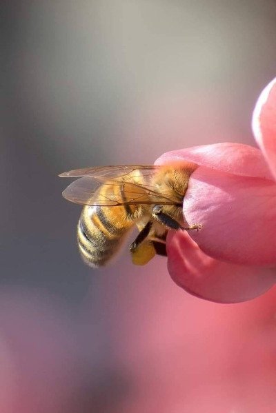 Такс что тут у нас