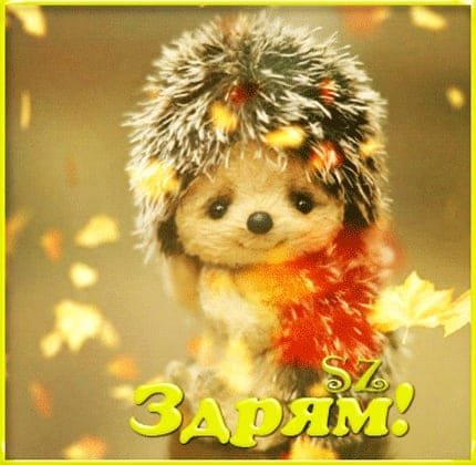 IMG-20210901-WA0002