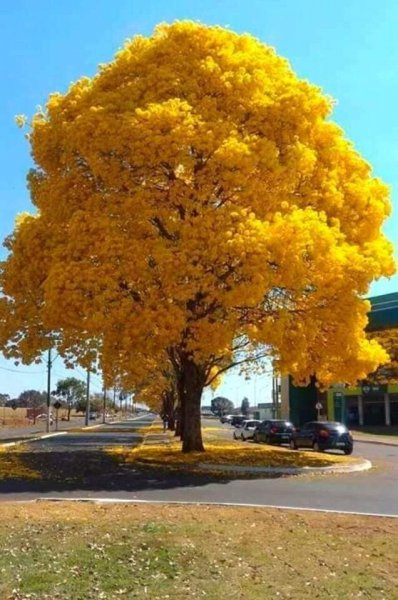 FB IMG 1617914839935