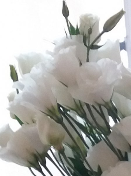 IMG-45fc57b4768d4fa1b62200acd8b1a690-V