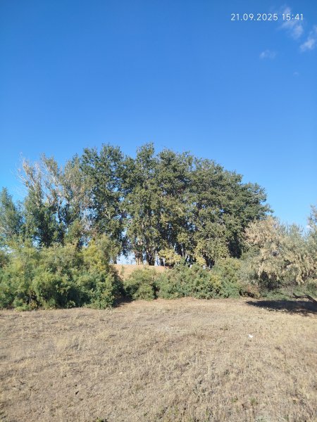 picture_401646035
