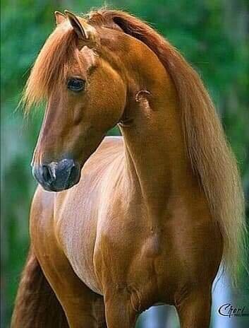 10-20-44-218307542 10223688632078080 2167113489296252535 n