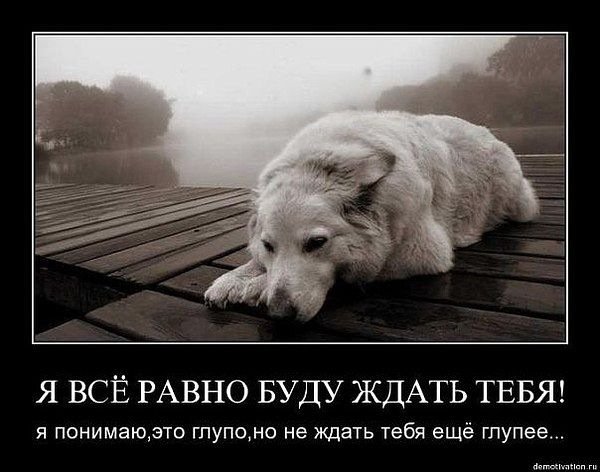 Ждите