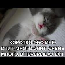 picture_407606209