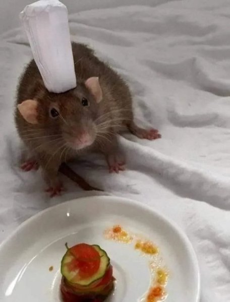 Рэми готовит