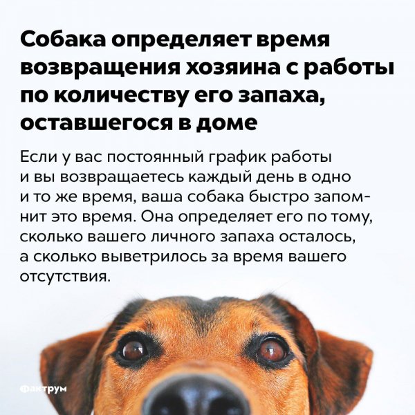 Интересный факт