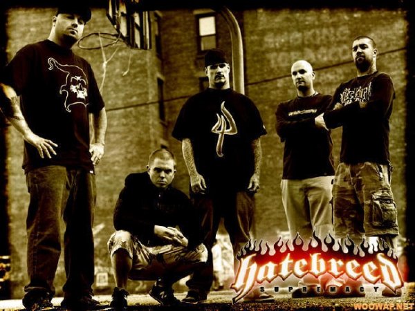Hatebreed band