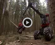 picture_95960853