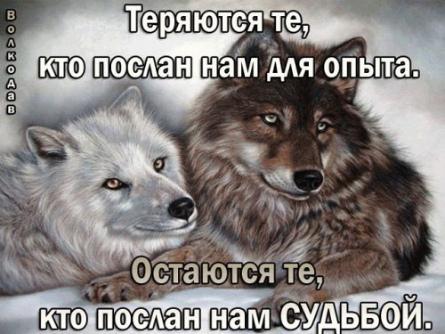 picture_189512915