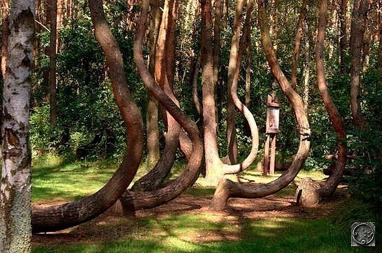 I - 2025-10-26T113324.830