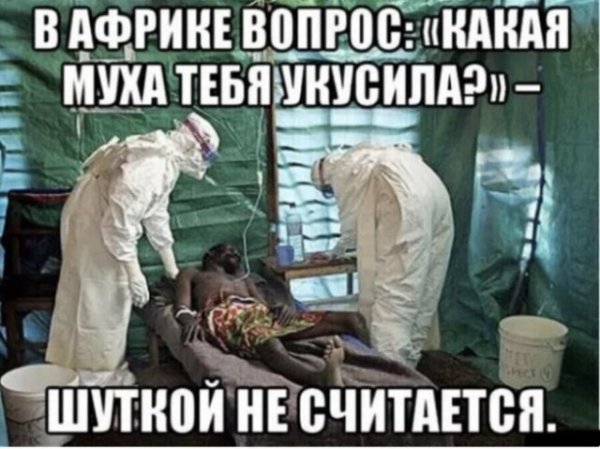K-smeshnyh-kartinok-i-memov-dlja-vashego-nastroenija-23