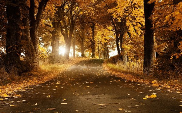Autumn Park