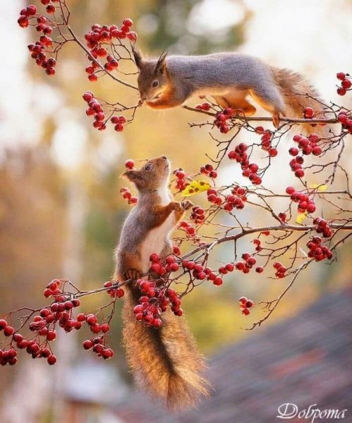 C4db0d72225ea317dede1f0b2e8a3771