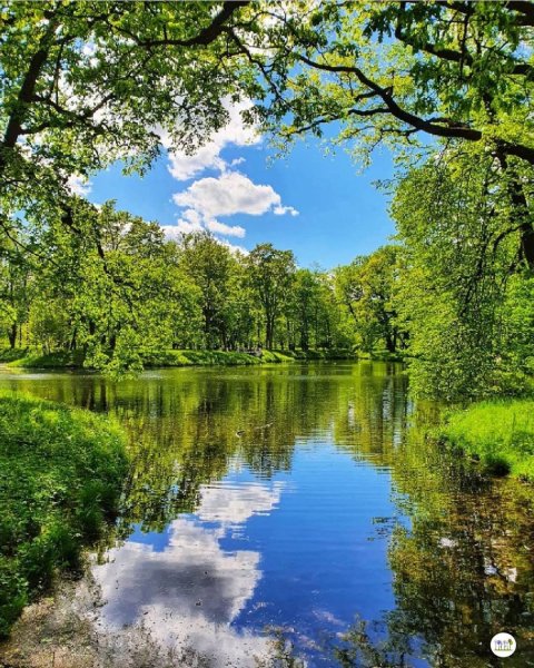 00-47-02-195283958 905479433635497 4084762660018308843 n