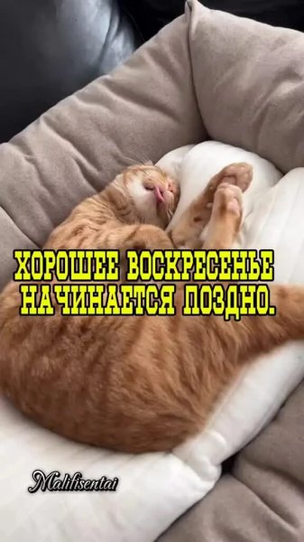 Да! ))