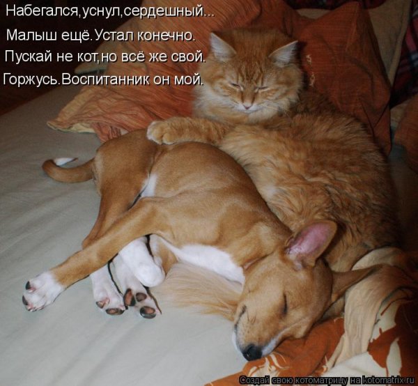 Горжусь