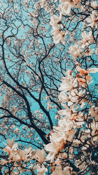 c6d3a04c91de983413d991348bcfb933