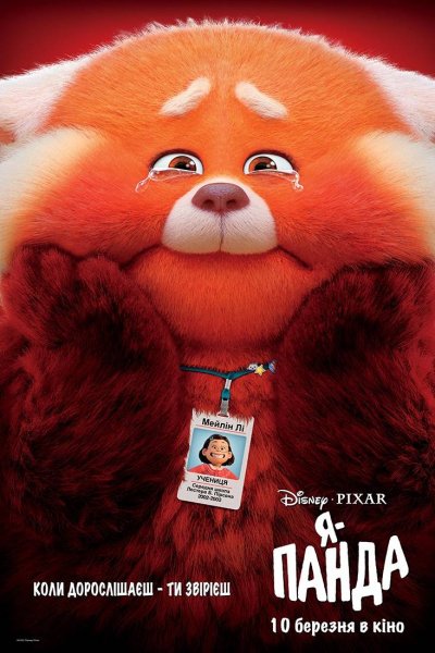 Я-панда 2022
