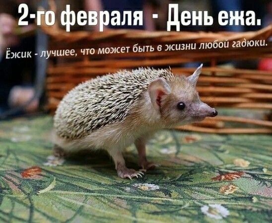 Ad6808fd8173e8548abb002c30d3343f