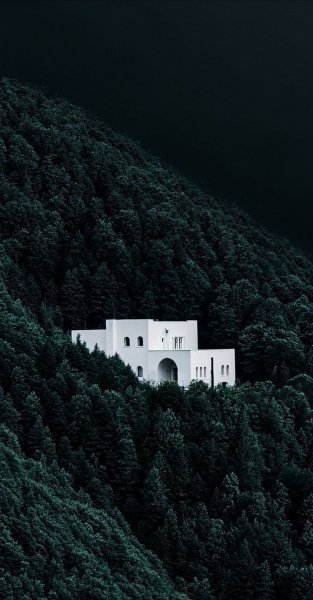 Арт Природа