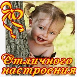 getImage(308)