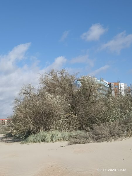 Анапа. Побережье моря