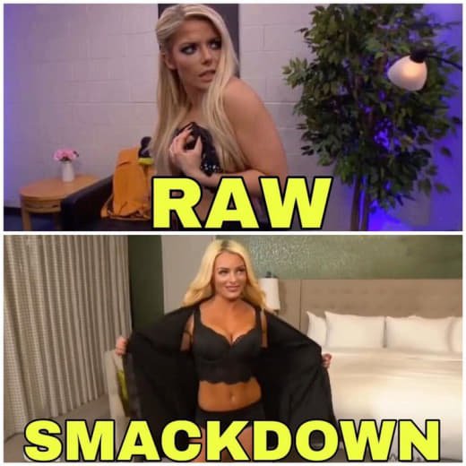 Wwe (19)