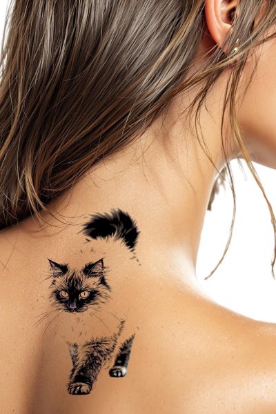 A875170319a784566c1c64c1e88d84c2 (2)