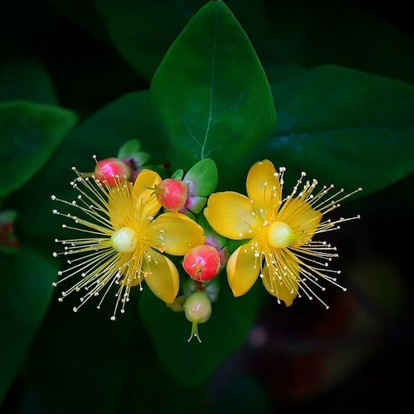 image (3) - 2020-11-03T000727.980