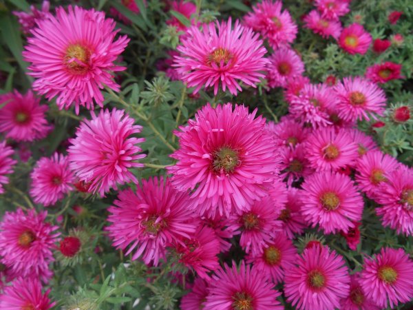 DSCN0003