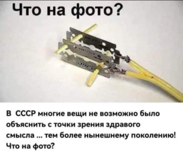 FB IMG 1707636709886