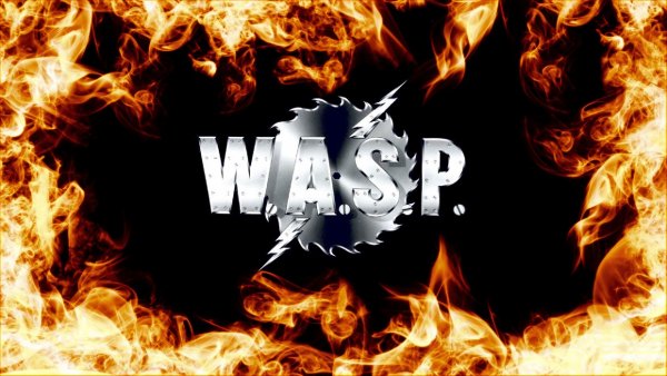 wasp logo hd wallpaper-1920x1080