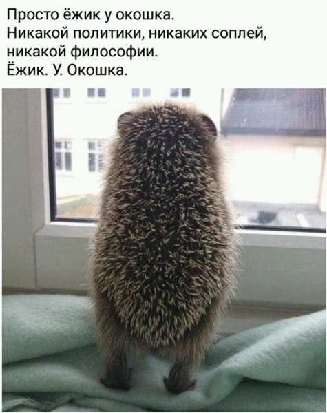 IMG 20151202 144646 41