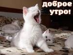 picture_105839050