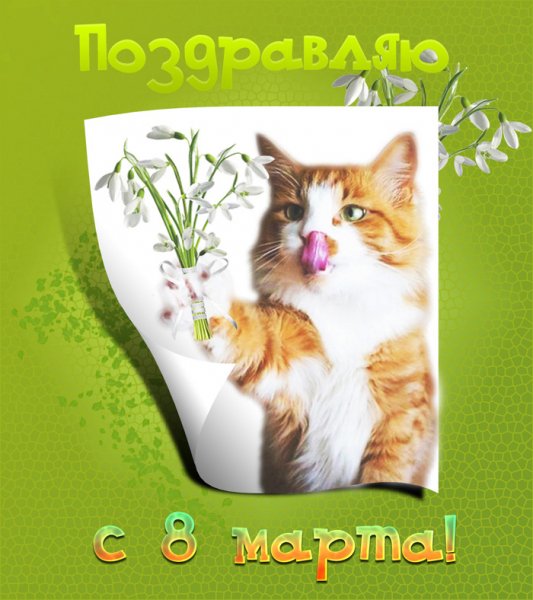 prikolnye-pozdravleniya-s-8-marta2