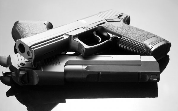 Guns 029