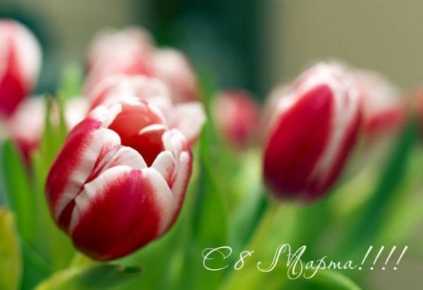 getImage(45)