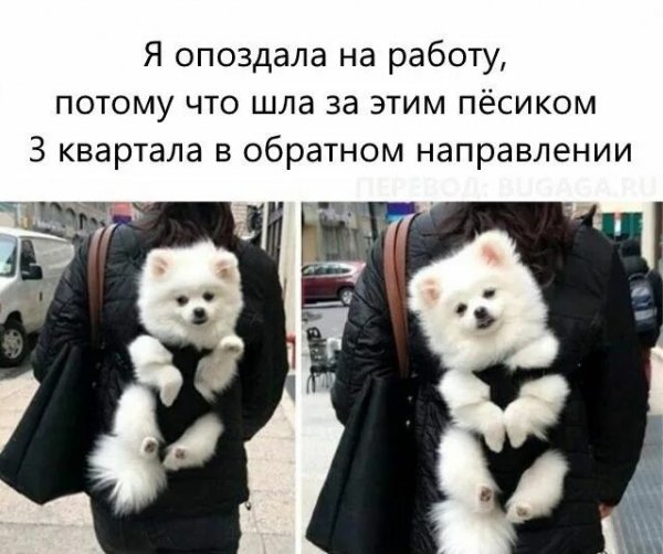 Просто прелесть!