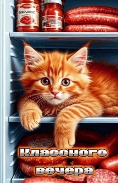 a927ca1ce8ff9c16cc8cc33bece6a