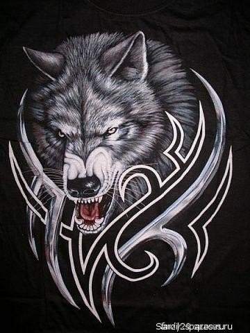 Wolf