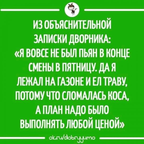 FB IMG 16984655917442855