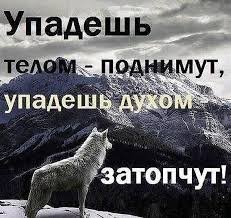 images (3)